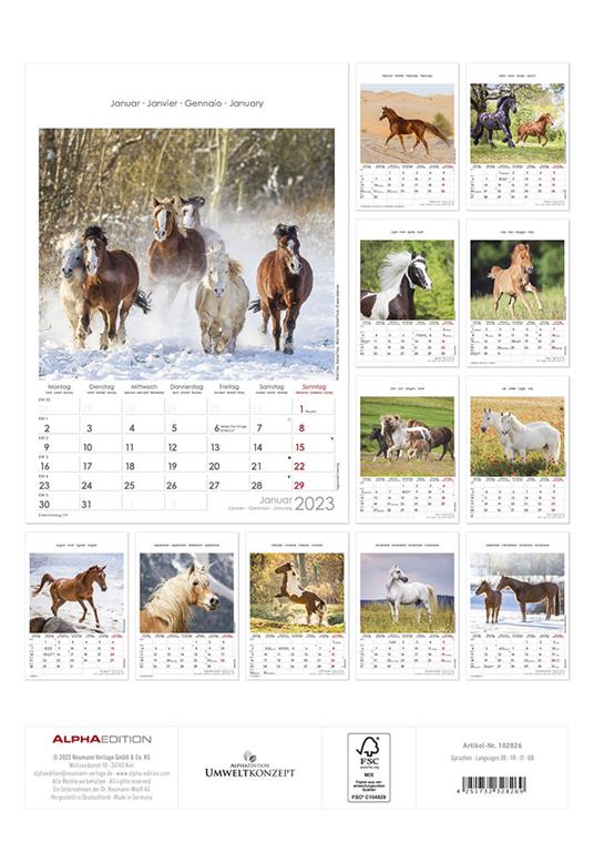 Calendario 2023 da muro Cavalli, Alpha Edition, 12 mesi, 23x34 cm - 14