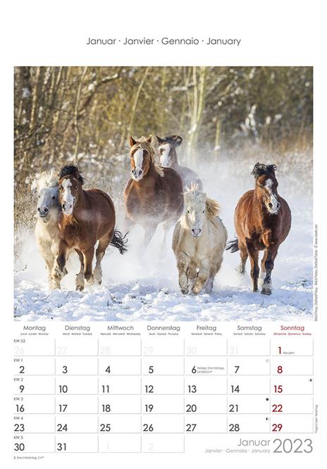 Calendario 2023 da muro Cavalli, Alpha Edition, 12 mesi, 23x34 cm - 2