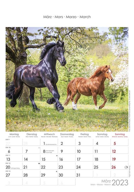 Calendario 2023 da muro Cavalli, Alpha Edition, 12 mesi, 23x34 cm - 4