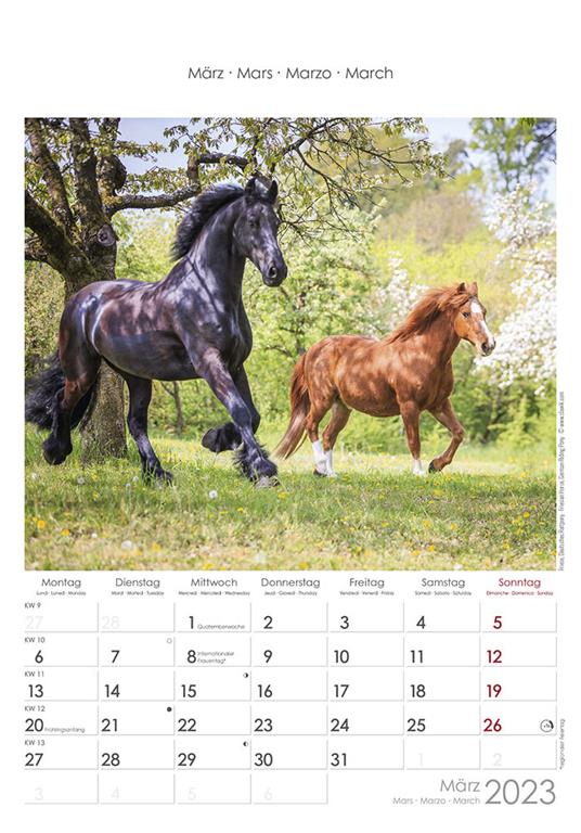 Calendario 2023 da muro Cavalli, Alpha Edition, 12 mesi, 23x34 cm - 4