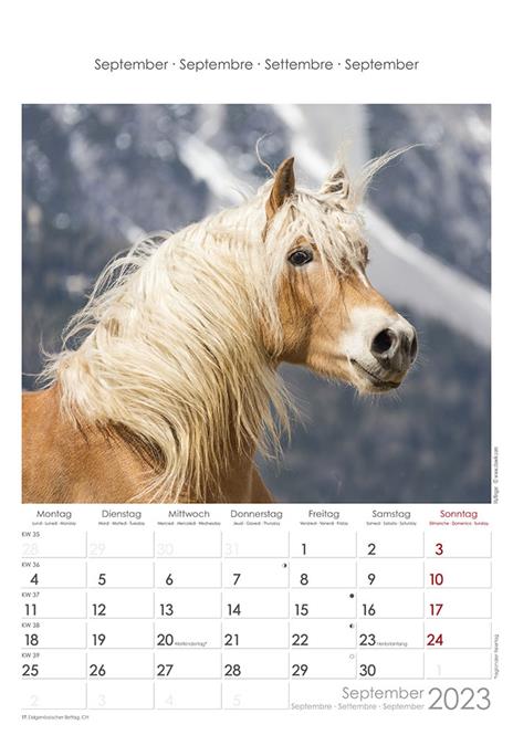 Calendario 2023 da muro Cavalli, Alpha Edition, 12 mesi, 23x34 cm - 10