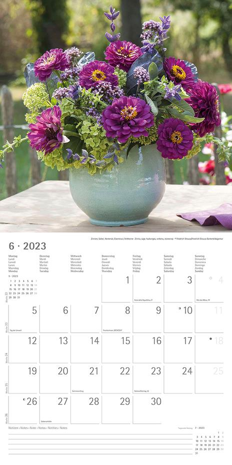 Calendario 2023 da muro Fiori, Alpha Edition, 12 mesi, 30x30 cm - 8
