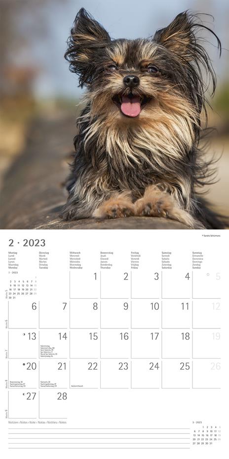 Calendario 2023 da muro Cani, Alpha Edition, 12 mesi, 30x30 cm - 4