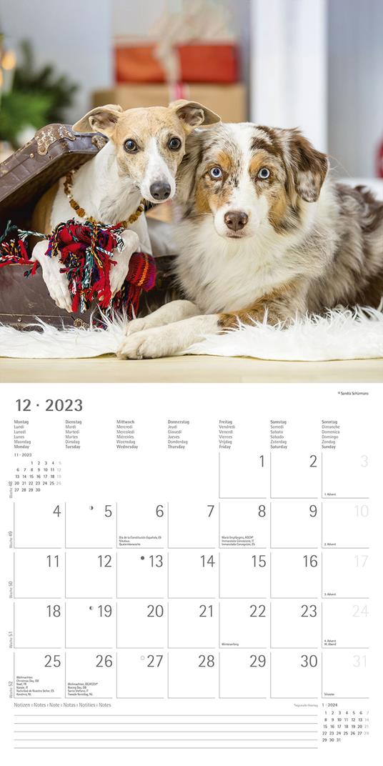 Calendario 2023 da muro Cani, Alpha Edition, 12 mesi, 30x30 cm - 14