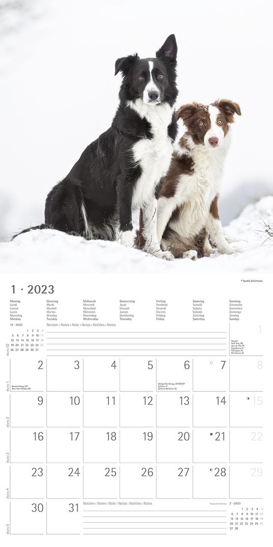 Calendario 2023 da muro Cani, Alpha Edition, 12 mesi, 30x30 cm - 3
