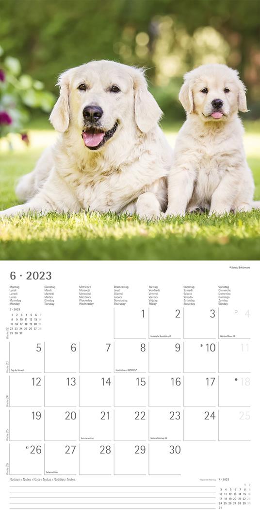 Calendario 2023 da muro Cani, Alpha Edition, 12 mesi, 30x30 cm - 8