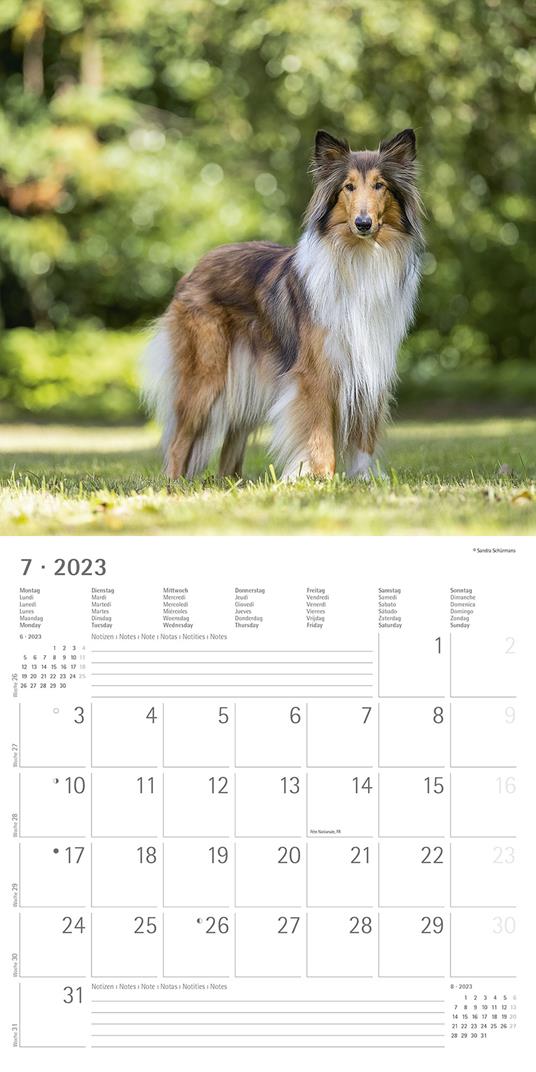 Calendario 2023 da muro Cani, Alpha Edition, 12 mesi, 30x30 cm - 9