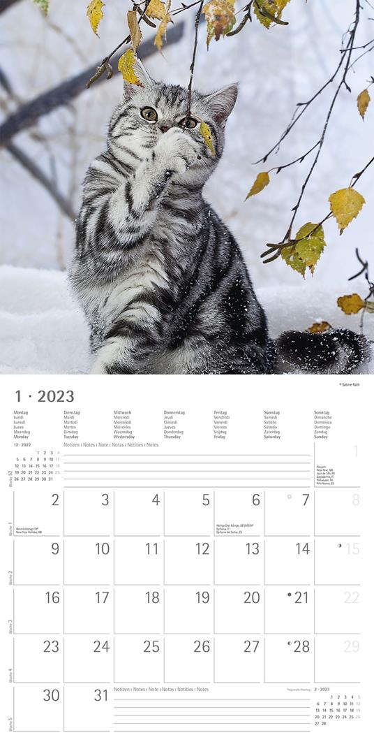 Calendario 2023 da muro Gatti, Alpha Edition, 12 mesi, 30x30 cm - 3