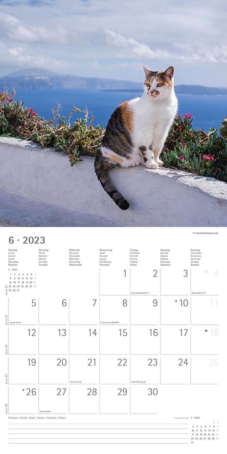 Calendario 2023 da muro Gatti, Alpha Edition, 12 mesi, 30x30 cm - 8