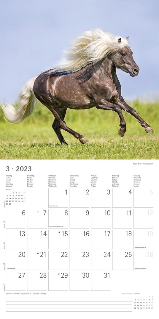 Calendario 2023 da muro Cavalli, Alpha Edition, 12 mesi, 30x30 cm - 5