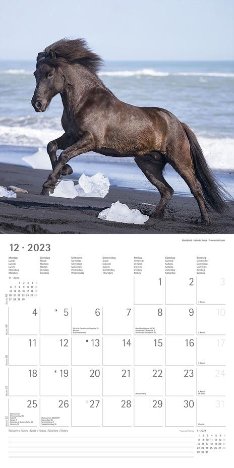 Calendario 2023 da muro Cavalli, Alpha Edition, 12 mesi, 30x30 cm - 14