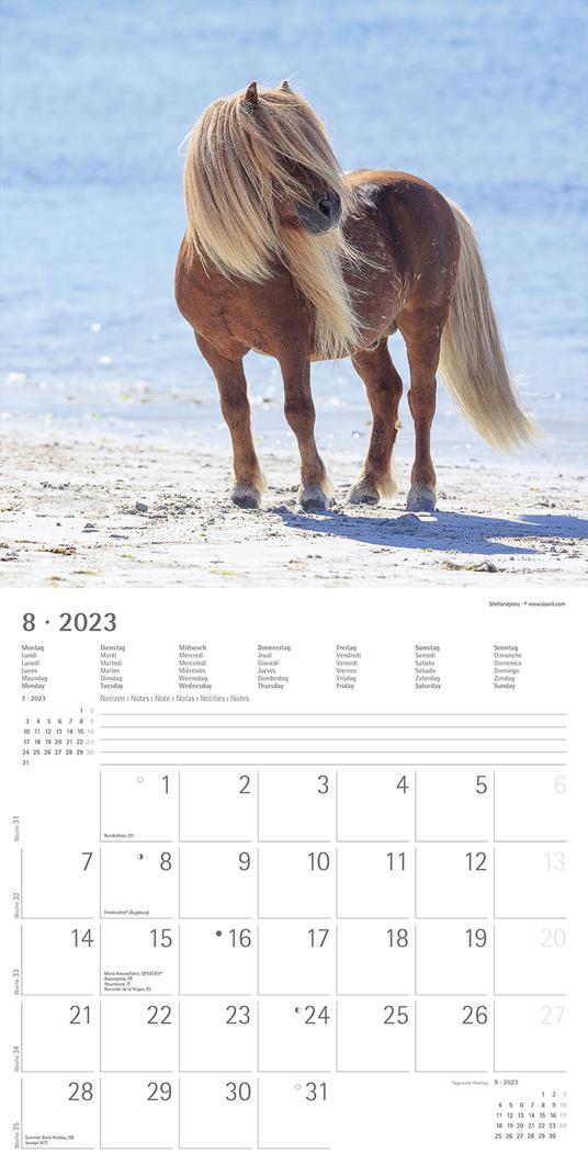 Calendario 2023 da muro Cavalli, Alpha Edition, 12 mesi, 30x30 cm - 10