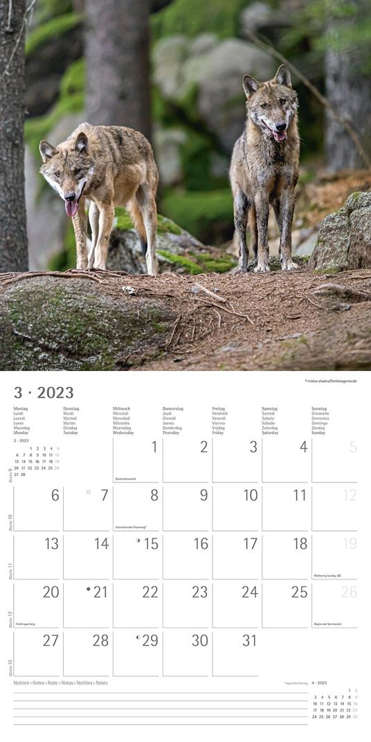 Calendario 2023 da muro Lupi, Alpha Edition, 12 mesi, 30x30 cm - 5