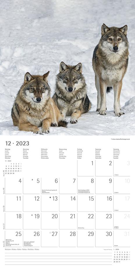 Calendario 2023 da muro Lupi, Alpha Edition, 12 mesi, 30x30 cm - 14