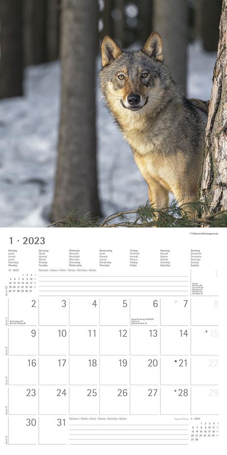 Calendario 2023 da muro Lupi, Alpha Edition, 12 mesi, 30x30 cm - 3