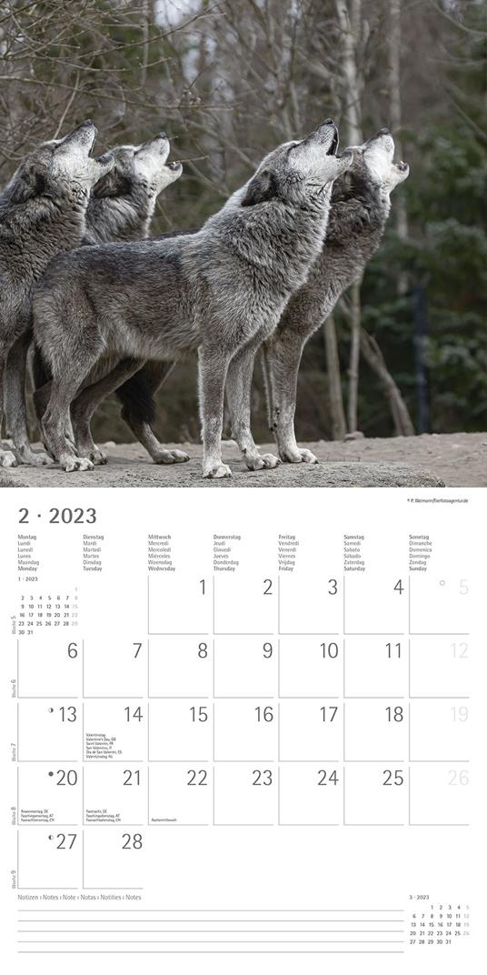Calendario 2023 da muro Lupi, Alpha Edition, 12 mesi, 30x30 cm - 4
