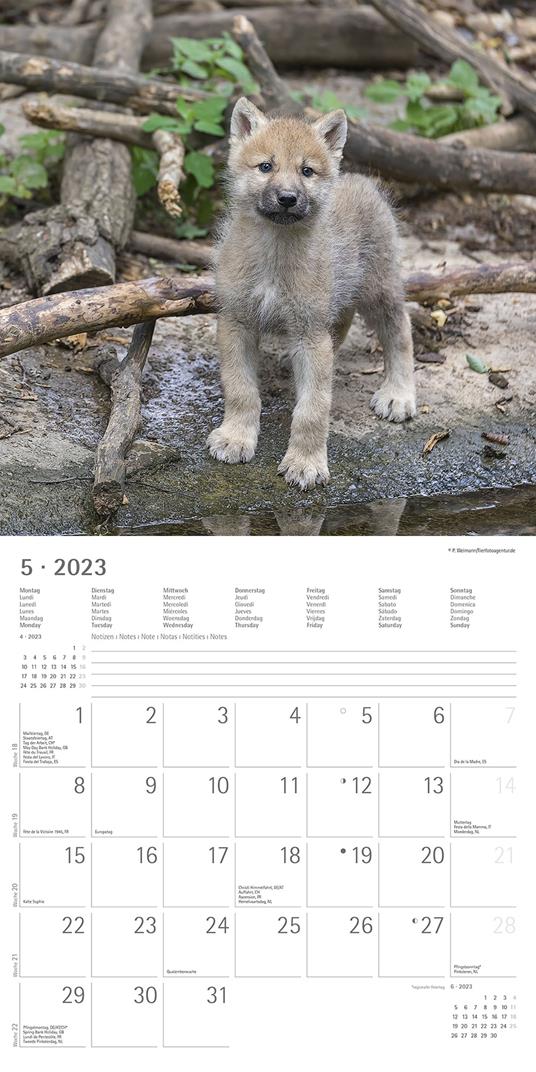 Calendario 2023 da muro Lupi, Alpha Edition, 12 mesi, 30x30 cm - 7