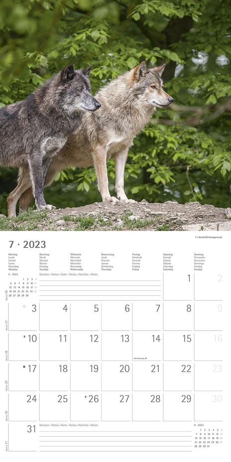 Calendario 2023 da muro Lupi, Alpha Edition, 12 mesi, 30x30 cm - 9