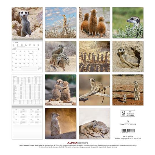 Calendario 2023 da muro Suricates, Alpha Edition, 12 mesi, 30x30 cm - 15