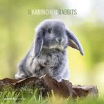Calendario 2023 da muro Rabbits, Alpha Edition, 12 mesi, 30x30 cm