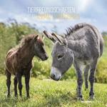 Calendario 2023 da muro Animal Friendship, Alpha Edition, 12 mesi, 30x30 cm