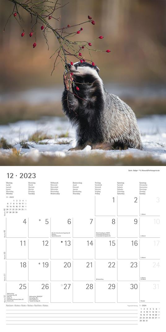 Calendario 2023 da muro Forest Animals, Alpha Edition, 12 mesi, 30x30 cm - 14