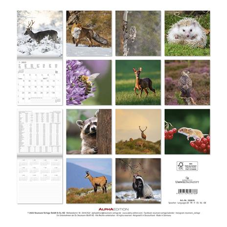 Calendario 2023 da muro Forest Animals, Alpha Edition, 12 mesi, 30x30 cm - 15