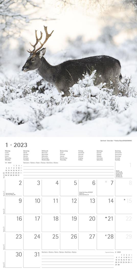 Calendario 2023 da muro Forest Animals, Alpha Edition, 12 mesi, 30x30 cm - 3