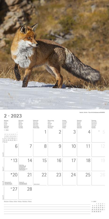 Calendario 2023 da muro Forest Animals, Alpha Edition, 12 mesi, 30x30 cm - 4
