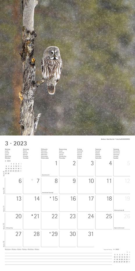 Calendario 2023 da muro Forest Animals, Alpha Edition, 12 mesi, 30x30 cm - 5
