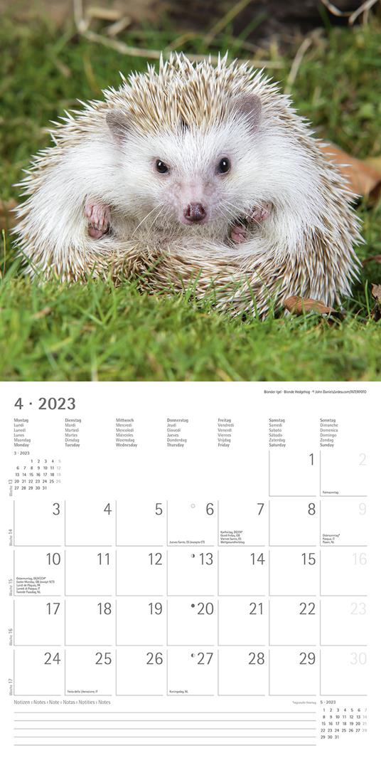 Calendario 2023 da muro Forest Animals, Alpha Edition, 12 mesi, 30x30 cm - 6