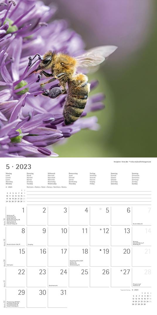 Calendario 2023 da muro Forest Animals, Alpha Edition, 12 mesi, 30x30 cm - 7