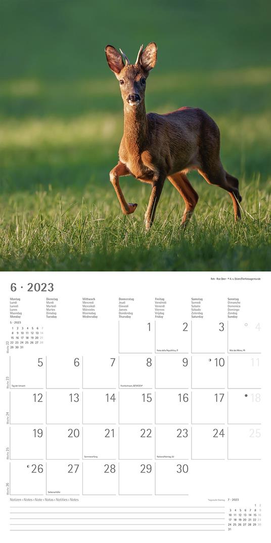 Calendario 2023 da muro Forest Animals, Alpha Edition, 12 mesi, 30x30 cm - 8