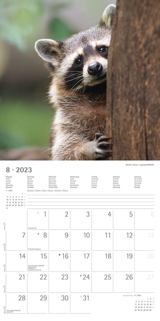 Calendario 2023 da muro Forest Animals, Alpha Edition, 12 mesi, 30x30 cm - 10