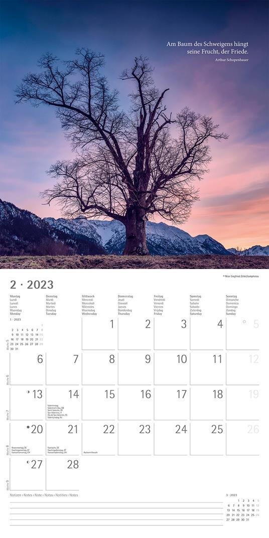 Calendario 2023 da muro Meditation, Alpha Edition, 12 mesi, 30x30 cm - 3