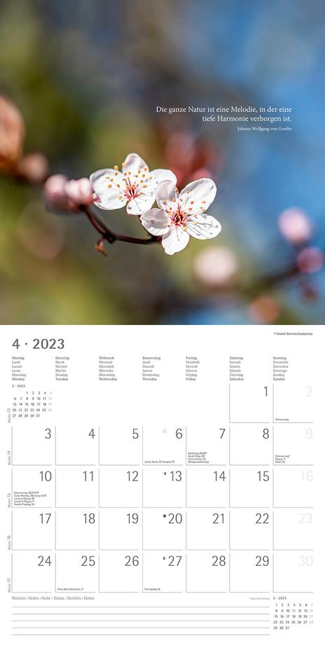 Calendario 2023 da muro Meditation, Alpha Edition, 12 mesi, 30x30 cm - 5