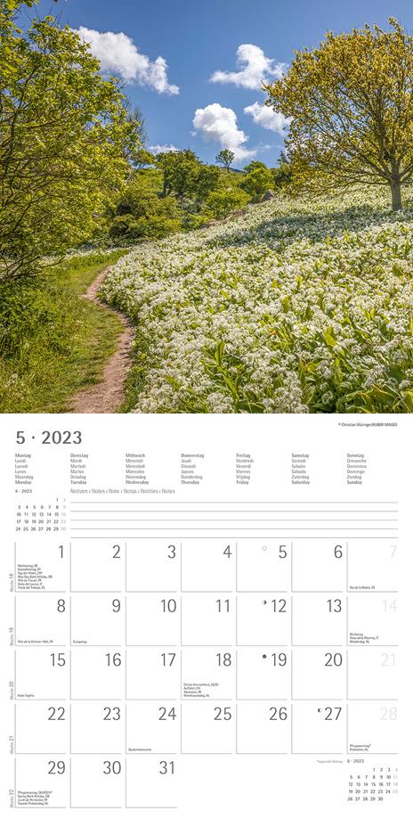 Calendario 2023 da muro Percorsi, Alpha Edition, 12 mesi, 30x30 cm - 7