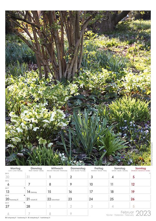 Calendario 2023 da muro Beautiful Gardens, Alpha Edition, 12 mesi, 29,7 x 42 cm - 3