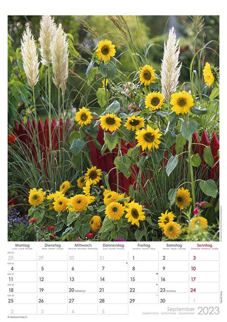 Calendario 2023 da muro Country House, Alpha Edition, 12 mesi, 29,7 x 42 cm - 10