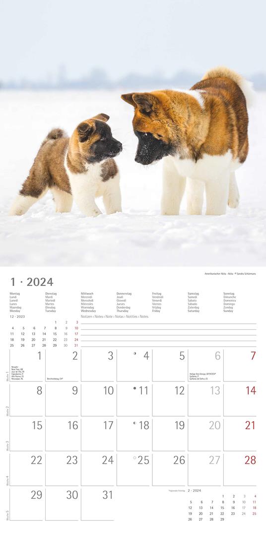 Alpha Edition - Calendario 2024 da muro Puppies, 12 mesi, 30x30 cm - 3
