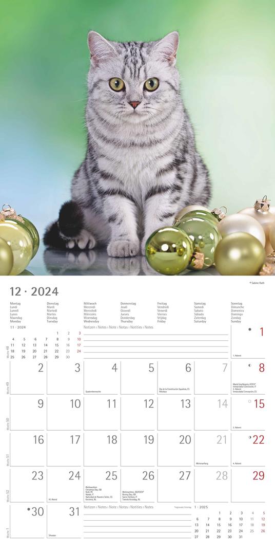 Alpha Edition - Calendario 2024 da muro Cats, 12 mesi, 30x30 cm - 14