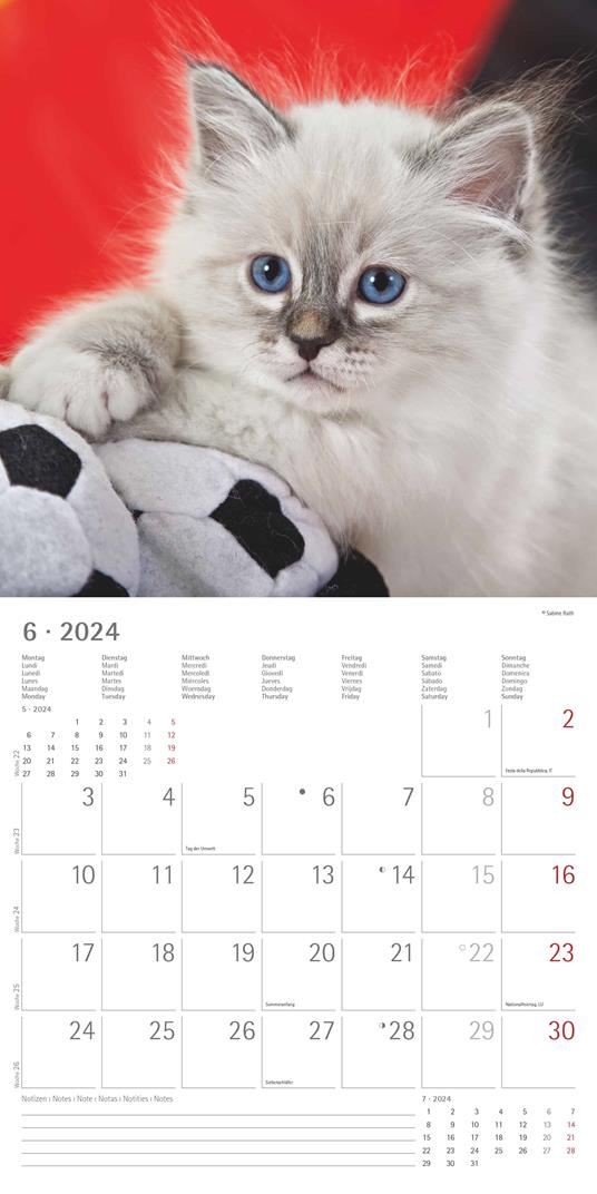 Alpha Edition - Calendario 2024 da muro Cats, 12 mesi, 30x30 cm - 8