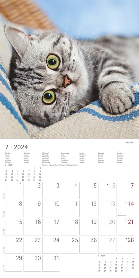 Alpha Edition - Calendario 2024 da muro Cats, 12 mesi, 30x30 cm - 9