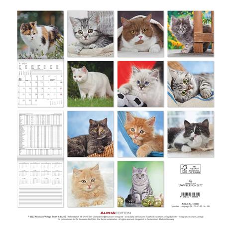 Alpha Edition - Calendario 2024 da muro Cats, 12 mesi, 30x30 cm - 15
