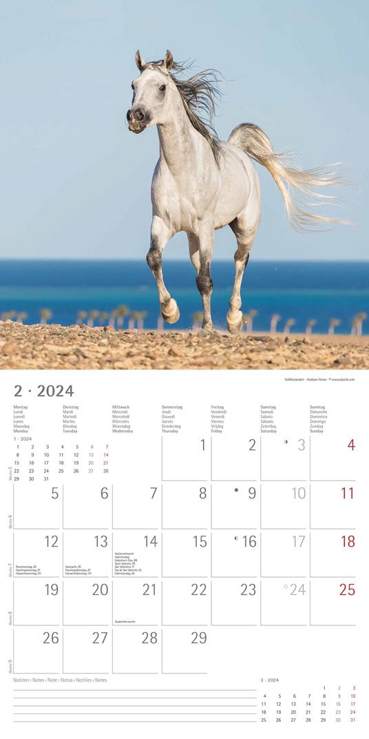 Alpha Edition - Calendario 2024 da muro Horses, 12 mesi, 30x30 cm - 4