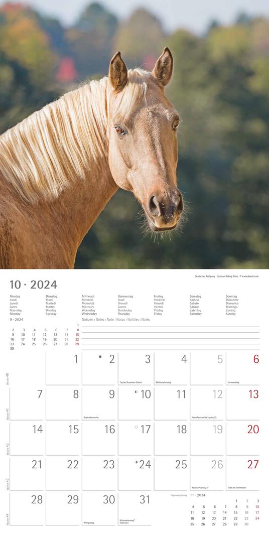 Alpha Edition - Calendario 2024 da muro Horses, 12 mesi, 30x30 cm - 12