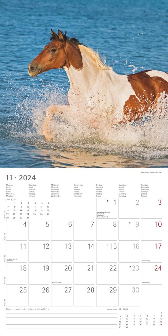 Alpha Edition - Calendario 2024 da muro Horses, 12 mesi, 30x30 cm - 13
