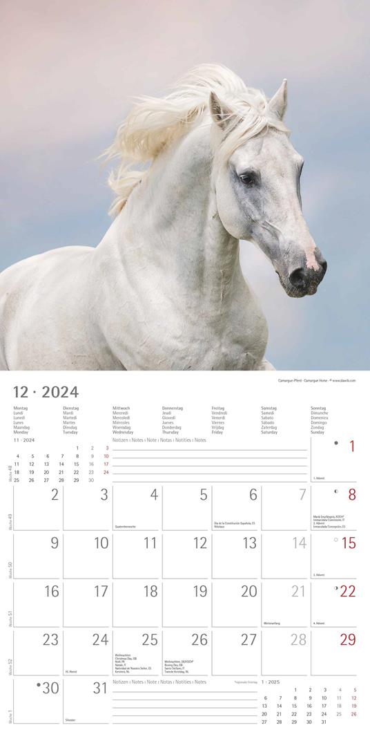 Alpha Edition - Calendario 2024 da muro Horses, 12 mesi, 30x30 cm - 14