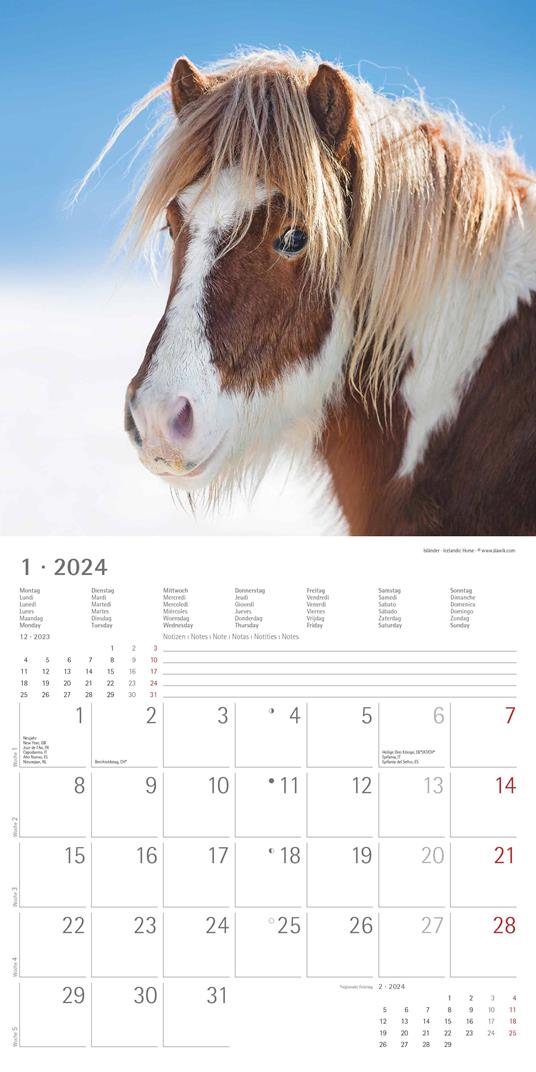 Alpha Edition - Calendario 2024 da muro Horses, 12 mesi, 30x30 cm - 3