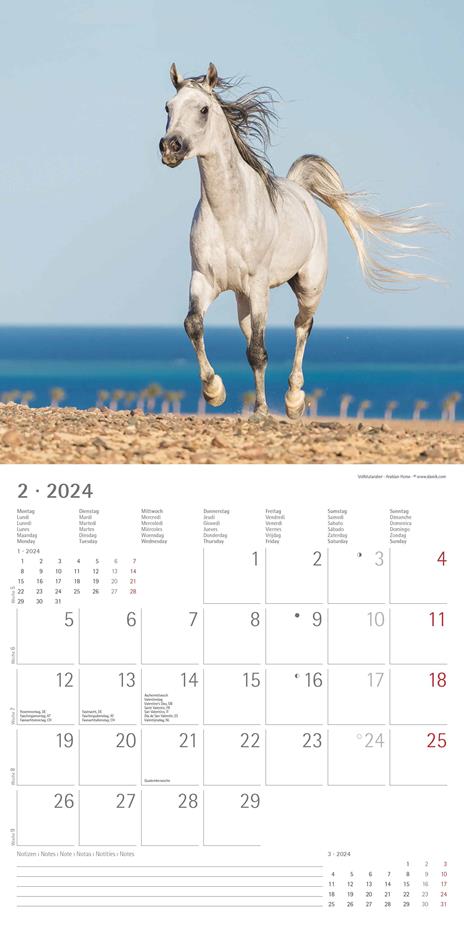 Alpha Edition - Calendario 2024 da muro Horses, 12 mesi, 30x30 cm - 4